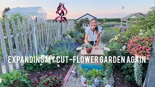 Propagating Lavender From the Garden & A Big Perennial Unboxing