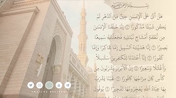 سورة الانسان || القارئ عمر بن عبدالعزيز