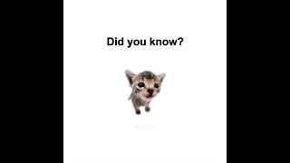 Did you know?