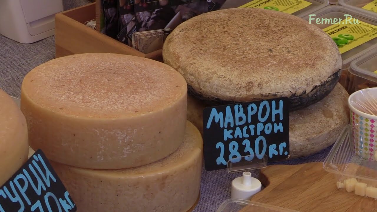 Сыр Олега Сироты Купить Цена