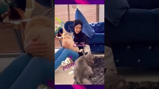 Zara Zya Bersama Kucing Tersayang