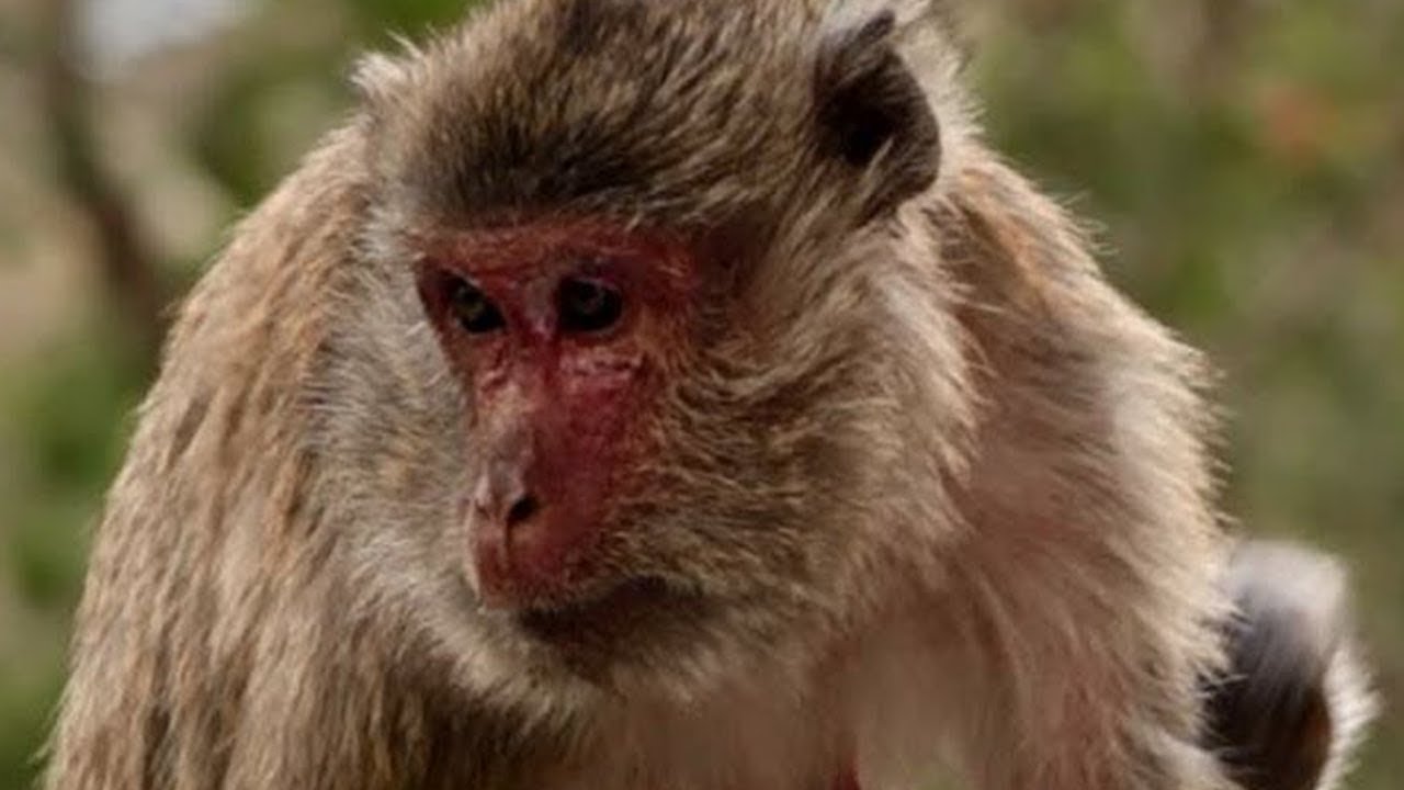 newborn baby girl dresses What Abigail Look At For, Red Face Need Help