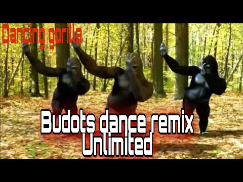 BUDOTS DANCE REMIX UNLIMITED || DANCING GORILLA