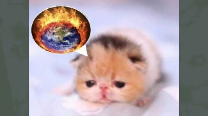 Unknown Artist - "What's The Use" (incomplete, 1998, help ID!)