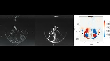 Vortex Ring Interaction With Concave Cavity