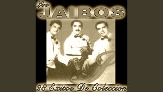 Video thumbnail of "Los Jaibos - Bonita"