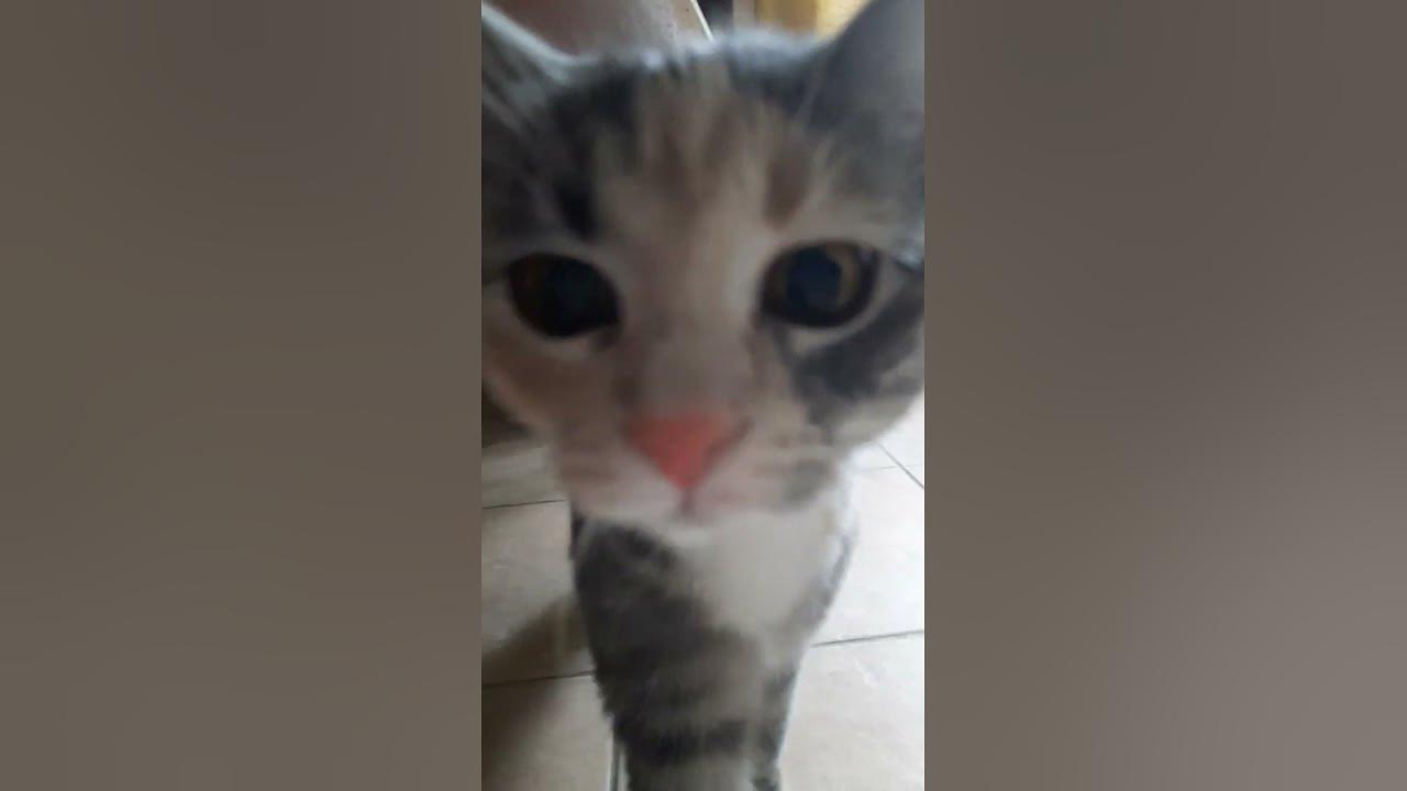 Поцелуйчик от Сонечки🥰😘😘😘 - YouTube