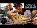 MASSIVE MUDCRABS Catch and Cook - Ep 2