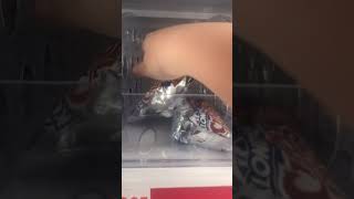 Last of its kind #chacoTaco