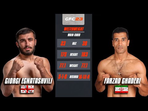 Giorgi Egnatashvili Farzad Ghaderi
