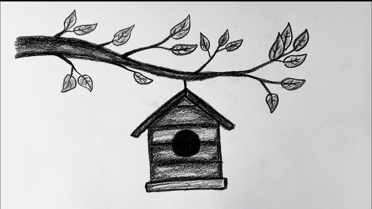 Bird’s house on tree 🏠 | easy sketch | charcoal pencil drawing | easy tutorial 