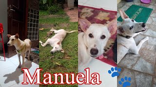 meet Manuela 🐾