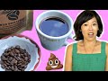 Civet POOP Coffee -- Kopi Luwak | Is the most EXPENSIVE coffee up to the hype?