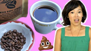 Civet POOP Coffee -- Kopi Luwak | Is the most EXPENSIVE coffee up to the hype?