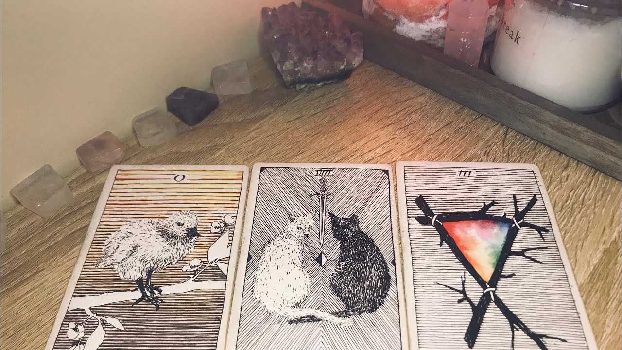 #LIBRA ♎️ NEW LOVE COMING TOWARDS YOU! THEY’VE BEEN WAITING FOR SOMEONE LIKE YOU IN THEIR LIFE! ✨