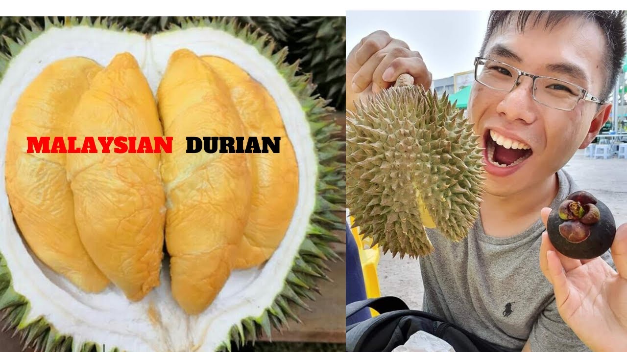 Durian duri hitam vs musang king