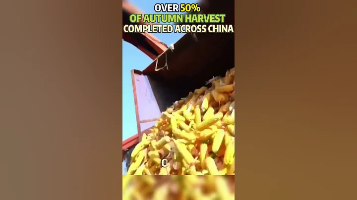 Over 50% of autumn harvest completed across China #china #shorts #autumn #harvest #grain #fyp - DayDayNews