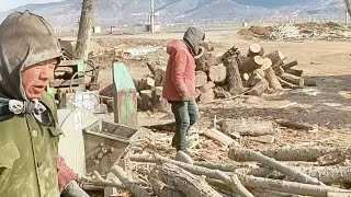 231201  Fastest Wood Chipper Machine in Action. Amazing Firewood Processing Machine