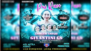 #live #langenbekso   GIYANTINI CS /