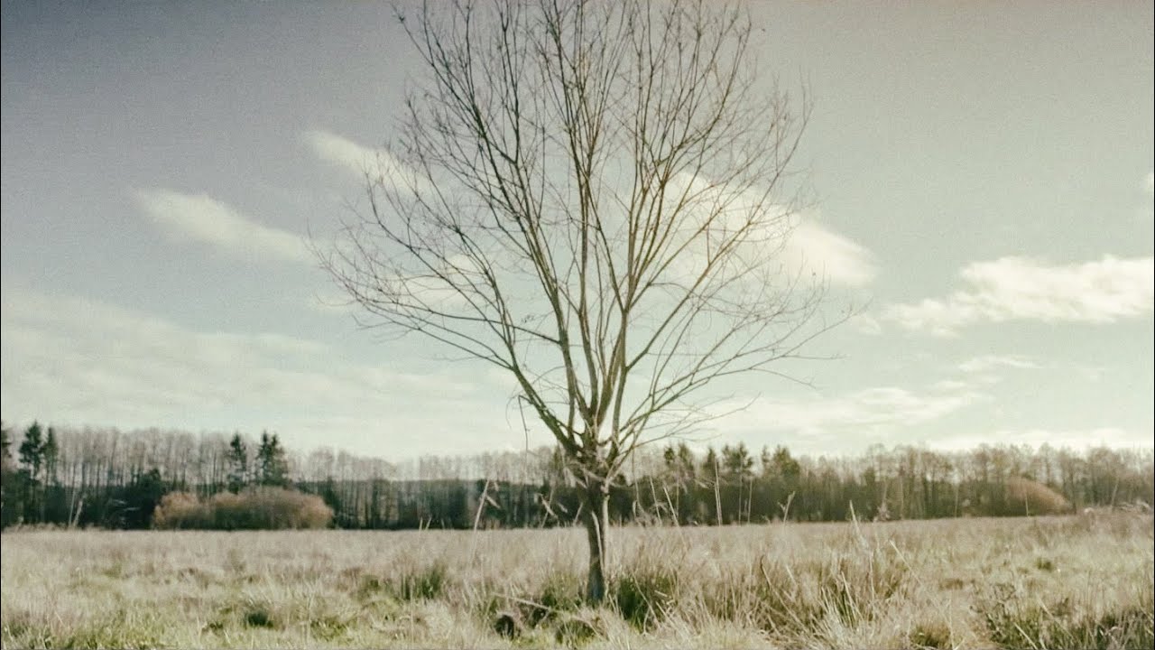 Video till Teaserfilm för analogsynthen Analog Four
