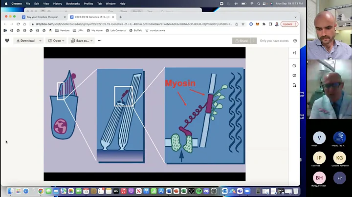 Genetic Hearing Loss- Dr. Lawrence Lustig MD, Columbia University Medical Center