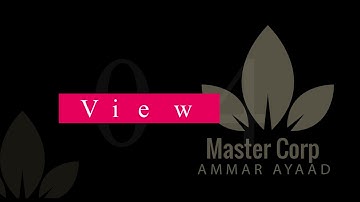 viewcube and steering wheels switch views -3ds max