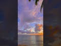 Cloudscape Canopy  🌅🌊🌺🌴 #hawaii #sunset #travel #beach #paradise