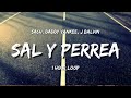 Such, Daddy Yankee, J Balvin - Sal Y Perrea (1 Hour Loop) [TIKTOK Song]