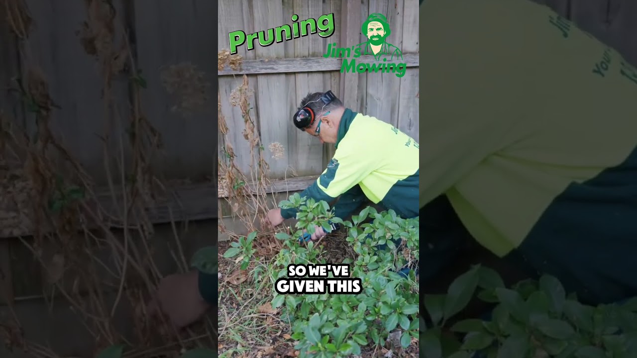 Does Jim's Mowing do pruning? Does Jim's Mowing do pruning?