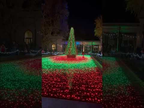 Video: Garden Glow Holiday Lights Միսսուրիի բուսաբանական այգում