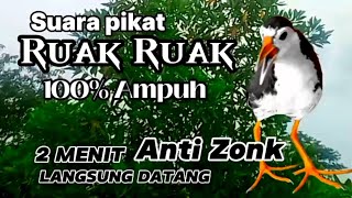 SUARA BURUNG RUAK RUAK 100% AMPUH, ANTI ZONK 2MENI LANGSUNG DATANG