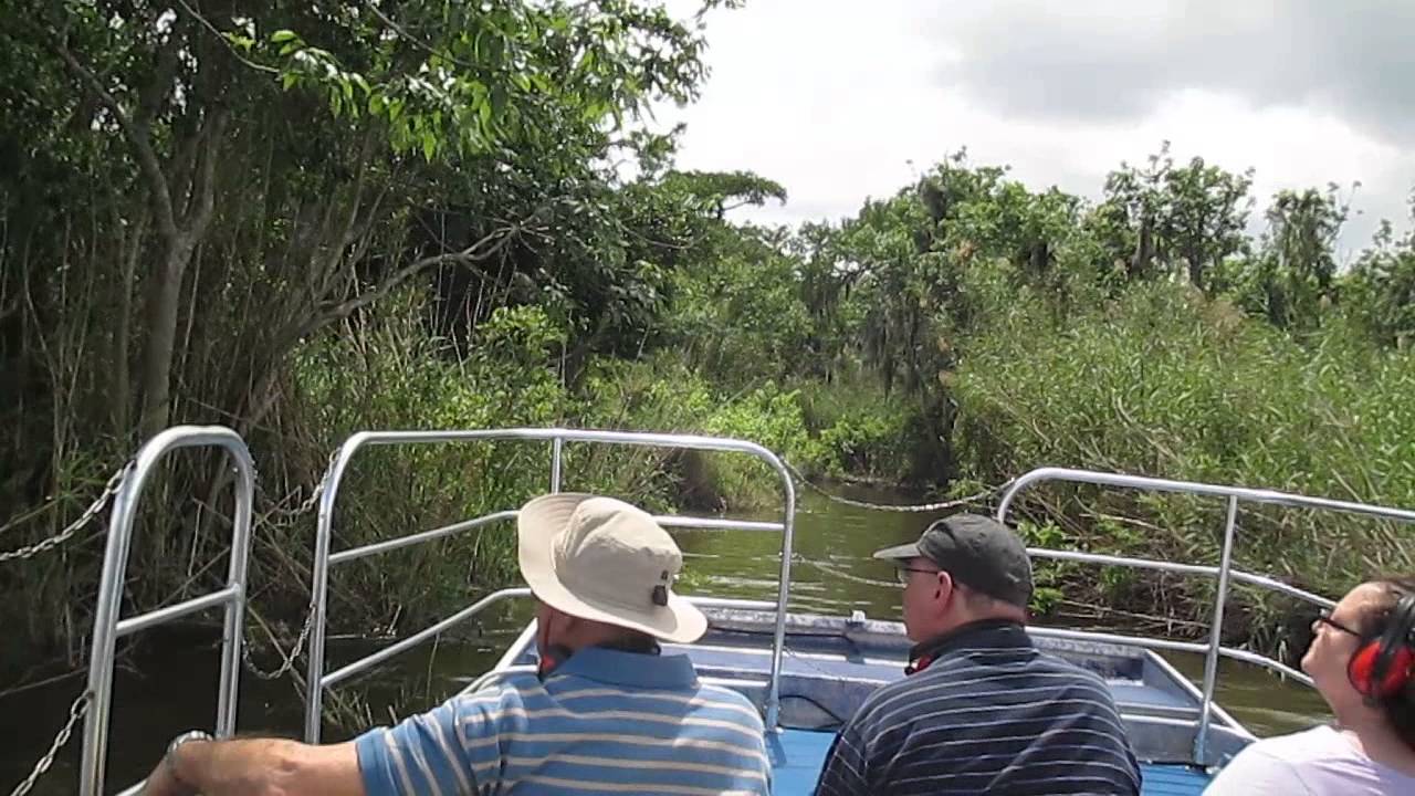 lake jesup alligator tour