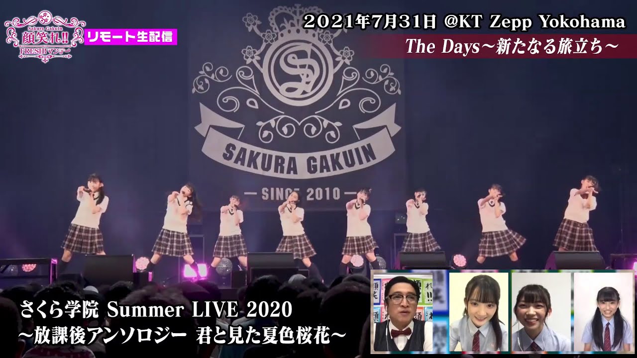 【未開封品】Sakura Gakuin Festival 2019 パンフレット 未開封品】Sakura Gakuin Festival 2019 パンフレット