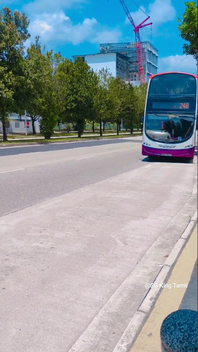 Singapore Bus Travel Feel | SPS Transport | 2023