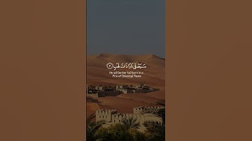 سعد الغامدي سورة المسد Saad Alghamidi Surat Al Masad