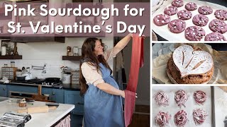 Valentine's Day Baking Ideas | Pink Sourdough Bread & Cookies | Pink Pasta & Pink Ravioli by Hopewell Heights 23,214 views 3 months ago 30 minutes