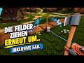 Felder umgebaut und direkt bereut..😅 | Solarpunk #17 (CH)