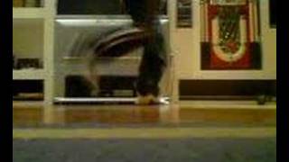 reverse shuffle to normal