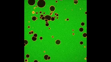 Arginine-rich cell-penetrating peptides induce membrane multilamellarity and subsequently enter