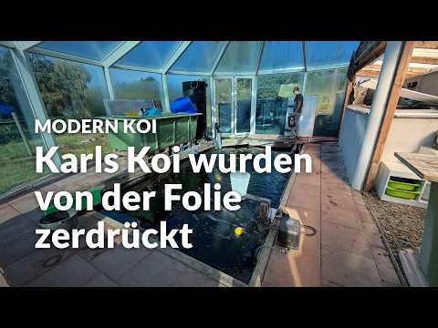 Karls 30.000l Innenteich im Glashaus | Modern Koi Blog #8283
