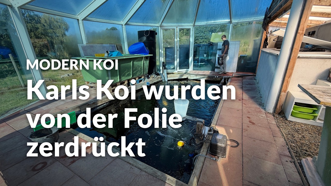 Karls 30.000l Innenteich im Glashaus | Modern Koi Blog #8283