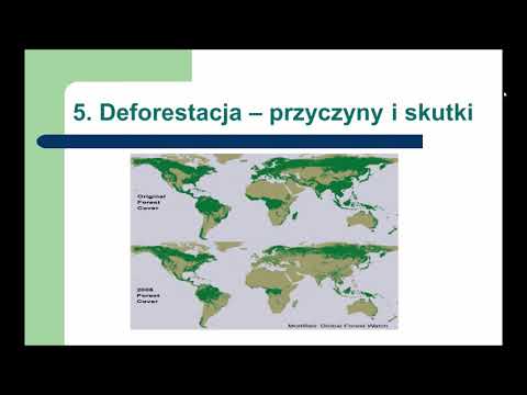 Wideo: Jakie są trzy cele leśnictwa społecznego?