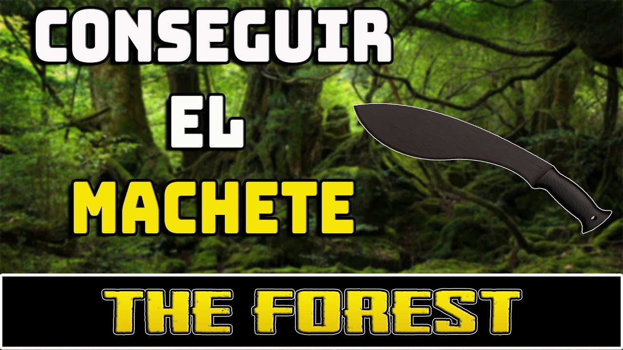 The Forest - ¿Donde esta Machete? - Guía gameplay español transistor
