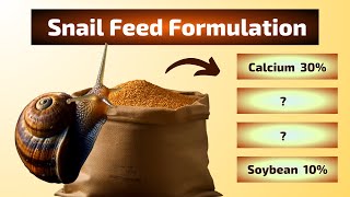 Snail Feed Formulation - How to Formulate Quality Snail Feed | Easy Step-by-Step Guide