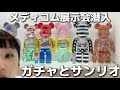 【ガチャ】Vlogメディコムトイ展示会・東京駅ガチャ・サンリオで何が出る？千秋ガチャ沼17