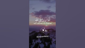 عبد الرحمن مسعد 😌 افلا يتوبون الى الله ويستغفرونه والله غفور رحيم🤲سورة المائدة - Surah Al-Maaidah