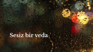 Sessiz Bir Veda Sevinç Orijinal Şarkı
