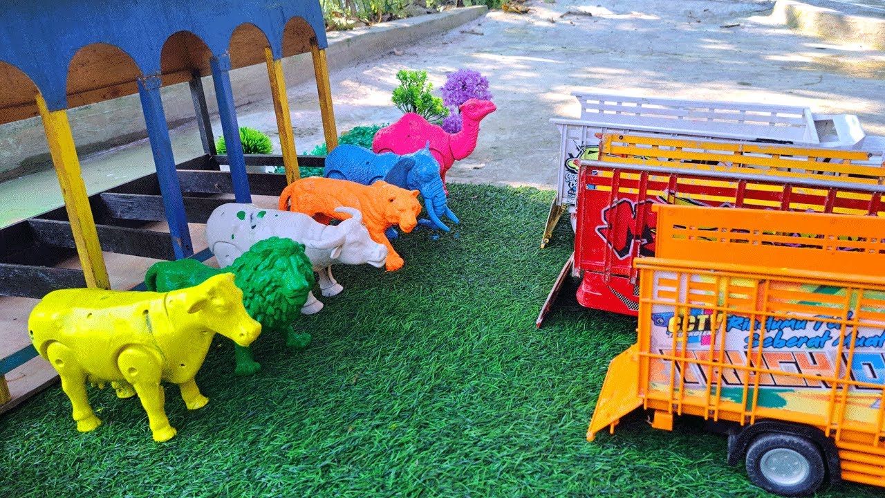 Proses Potong Sapi Kurban & Kambing - Truk Oleng Angkut Sapi #3