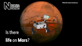 Does Mars have what life needs to survive? | Natural History Museum