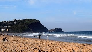 Avoca Beach - Australian Beach | Travel and Holiday Guide